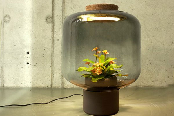 德設計師采用LED防水電源發(fā)明無需打理的植物燈